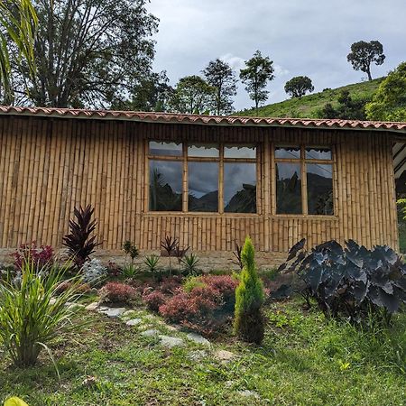 Patio Bonito Guest House Jardin Exterior photo